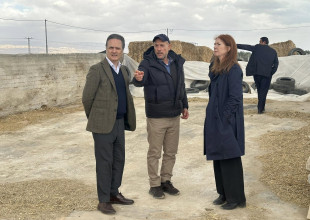 Spanish Ambassador and UNDP Special Representative Visit the Arab Development Society to Explore Circular Economy Innovations