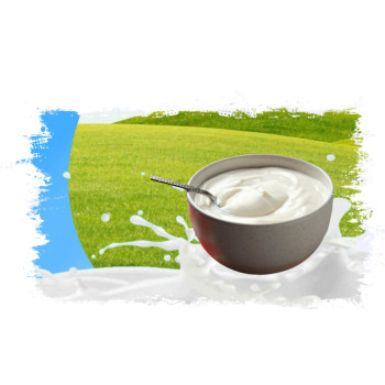 Yogurt