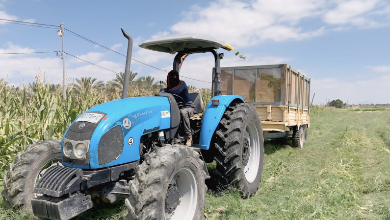 حاضنة للأمل والإنتاج